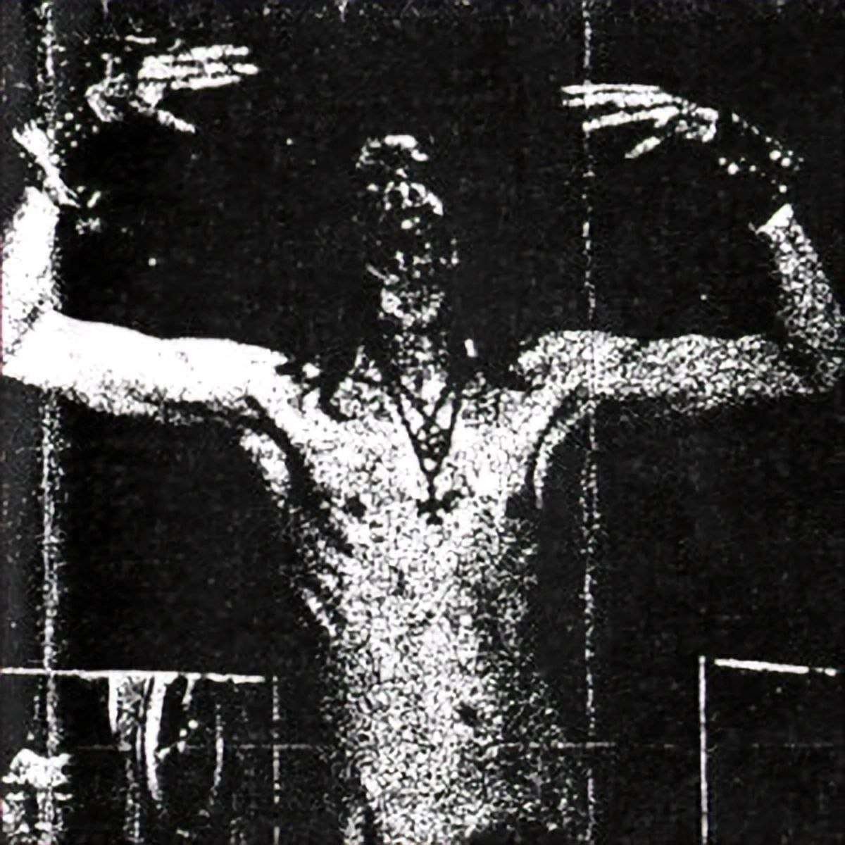 Grausamkeit Profile Picture