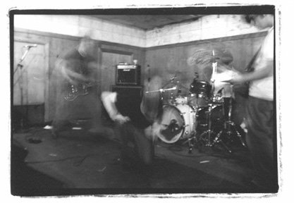 Saetia Profile Picture