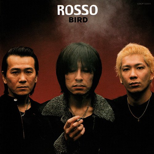 ROSSO BIRD レコードLP チバユウスケ 照井利幸 ROSSO / BIRD – TICRO MARKET