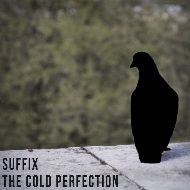 The Cold Perfection — Suffix 