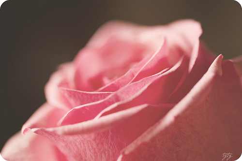 Lady-Magnolia’s Music Profile | Last.fm