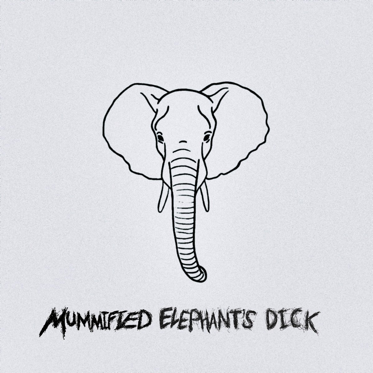 Dick elephant Penis