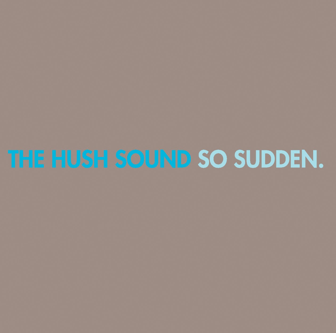 So Sudden — The Hush Sound Last.fm