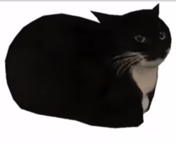 Кот максвелл