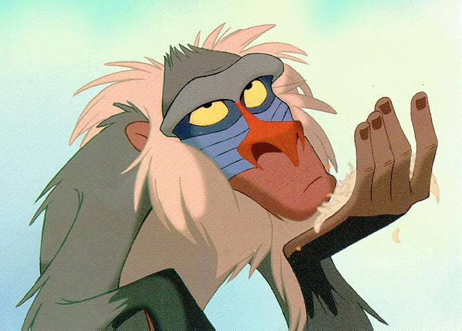 Pin on Rafiki