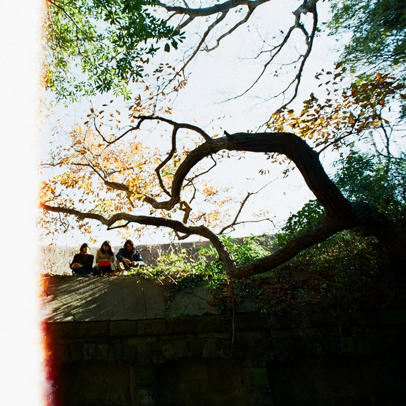lamp 雨、降り続く雨　cdr 雨、降り続く雨 — Lamp | Last.fm