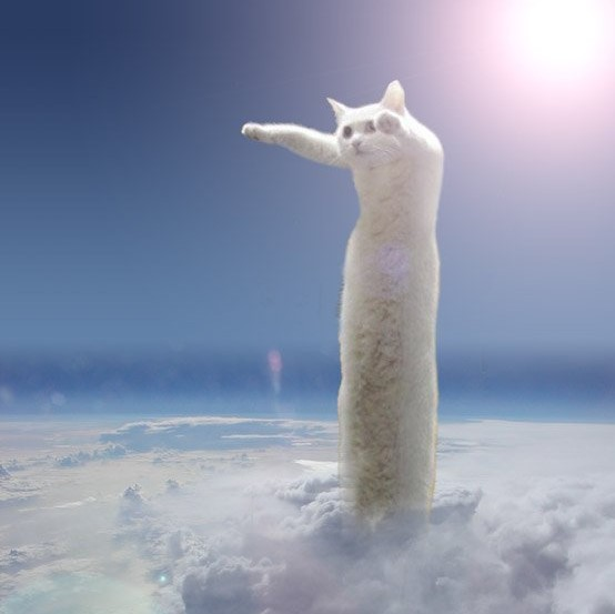 Кот с длинными ногами мем Gross Cat (Concept) Giant Bomb