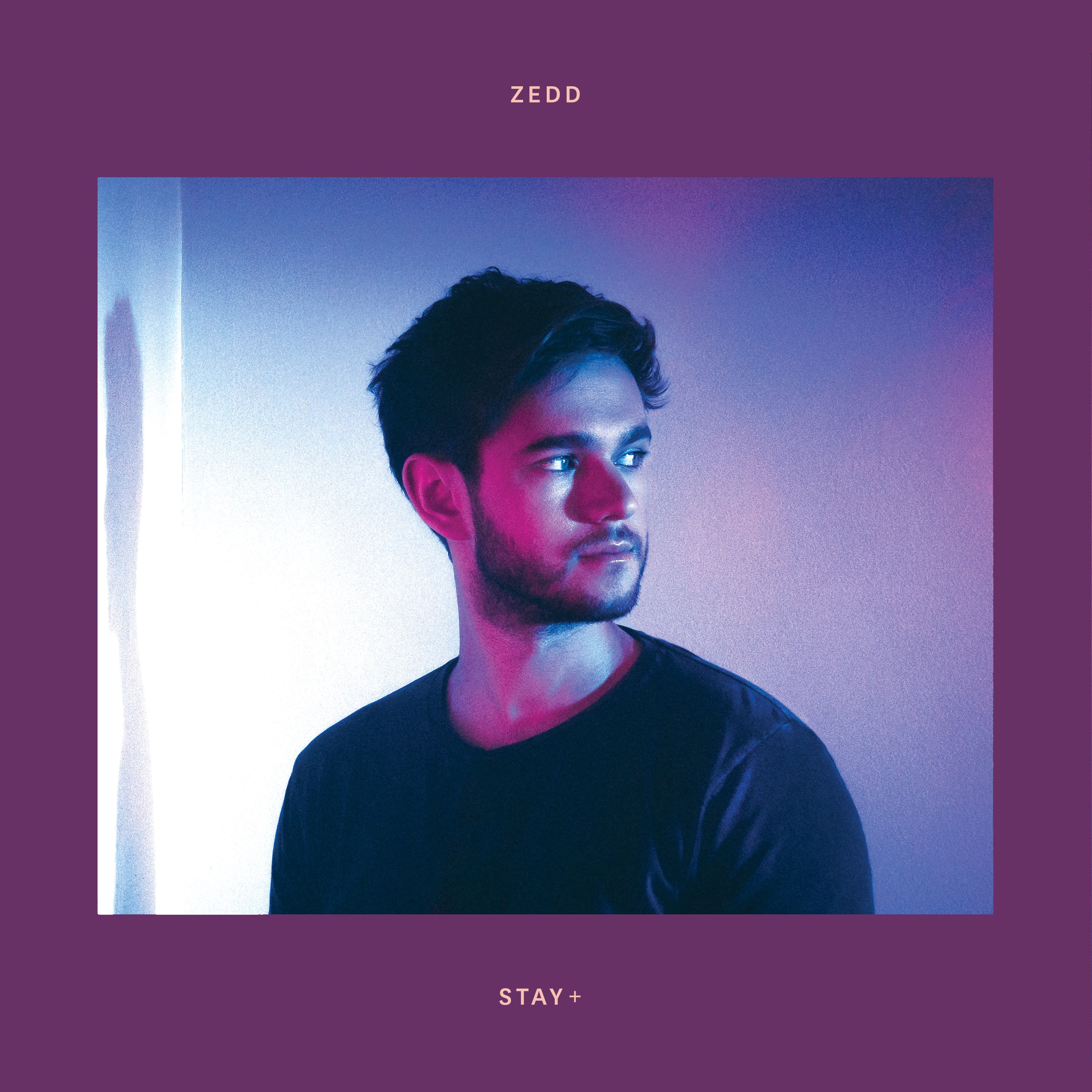 Zedd Porn