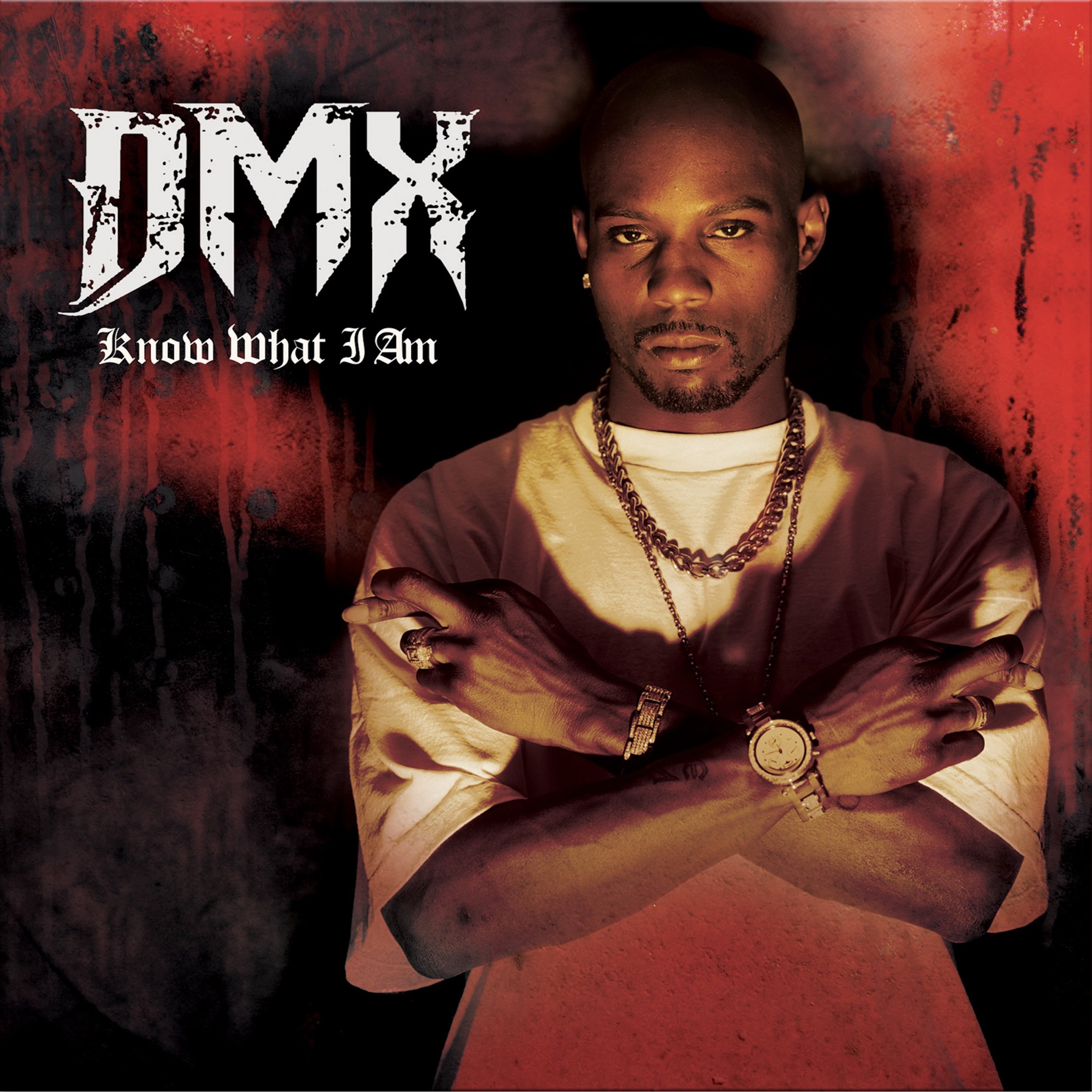 Dmx give me. Dmx party up. Dmx give me. Dmx. Dmx give me.
