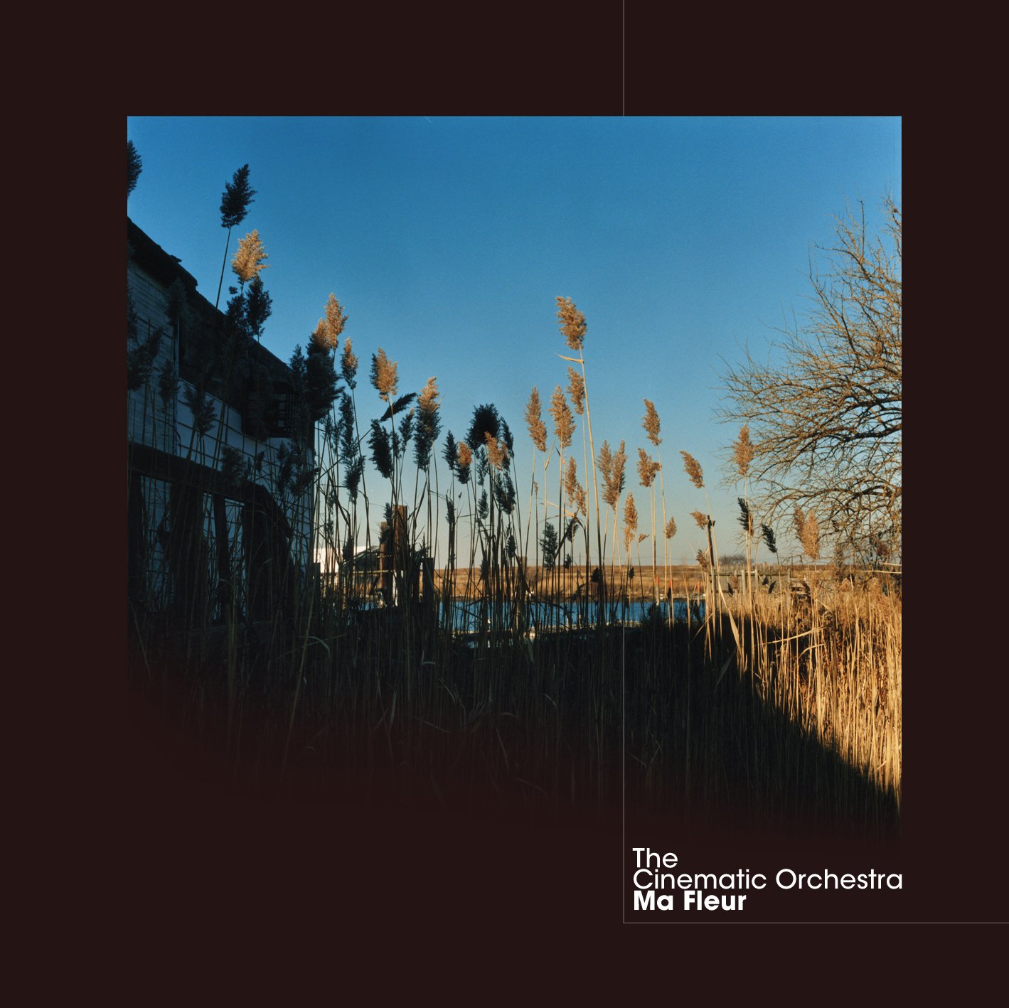 The cinematic orchestra to build a home. Cinematic Orchestra "ma fleur". The Cinematic Orchestra. Группа the Cinematic Orchestra. Cinematic Orchestra винил.