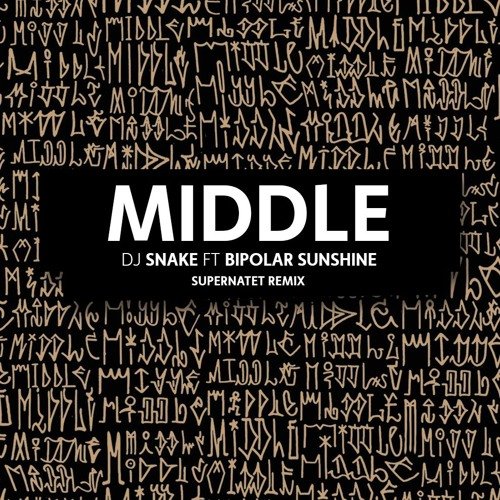 DJ Snake feat. Bipolar Sunshine music, videos, stats, and photos | Last.fm