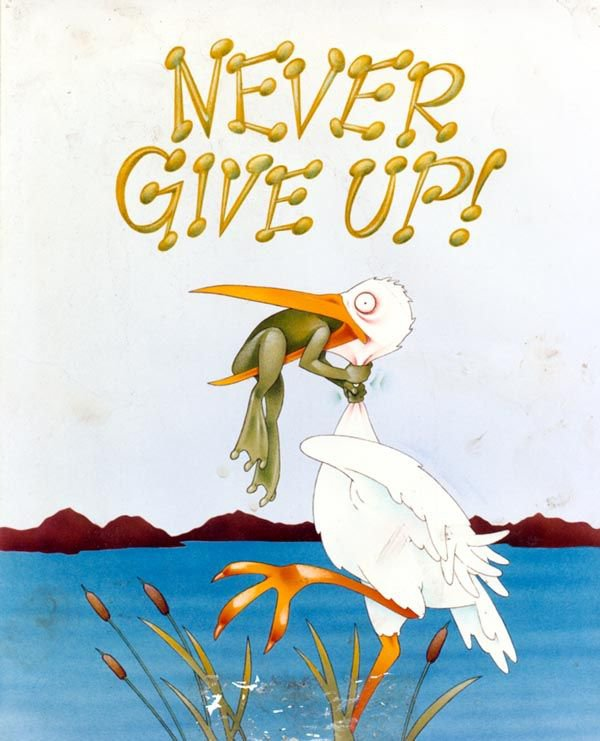 What i give up. Never give up. never give up лягушка. never give up картинки. открытка никогда не сдавайся.