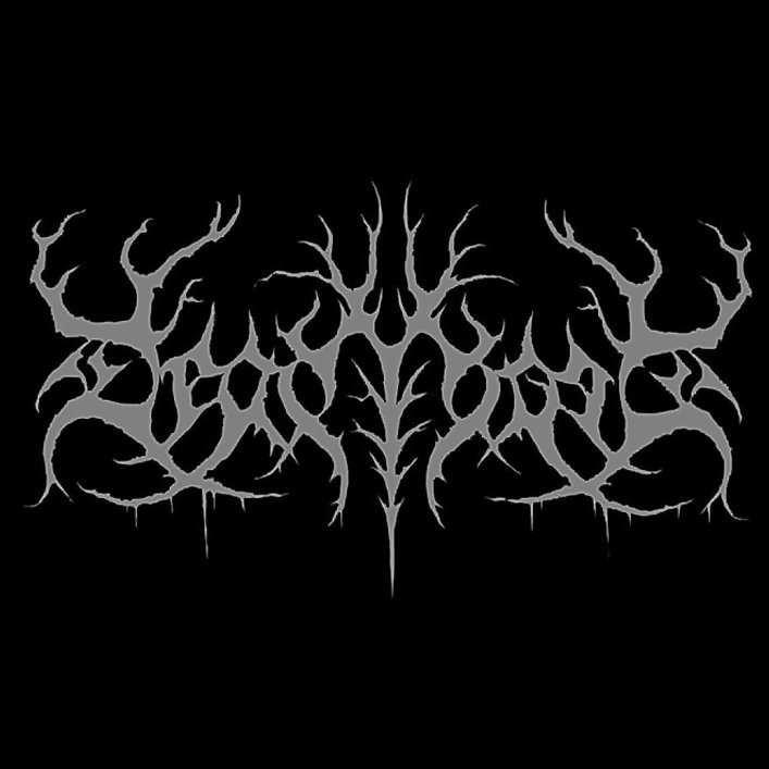 Deadtrees 的音乐 视频 数据和照片 Last Fm