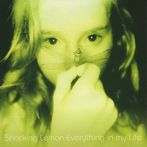 【売れ筋】 Everything in Last.fm | Lemon Shocking — Life My 邦楽