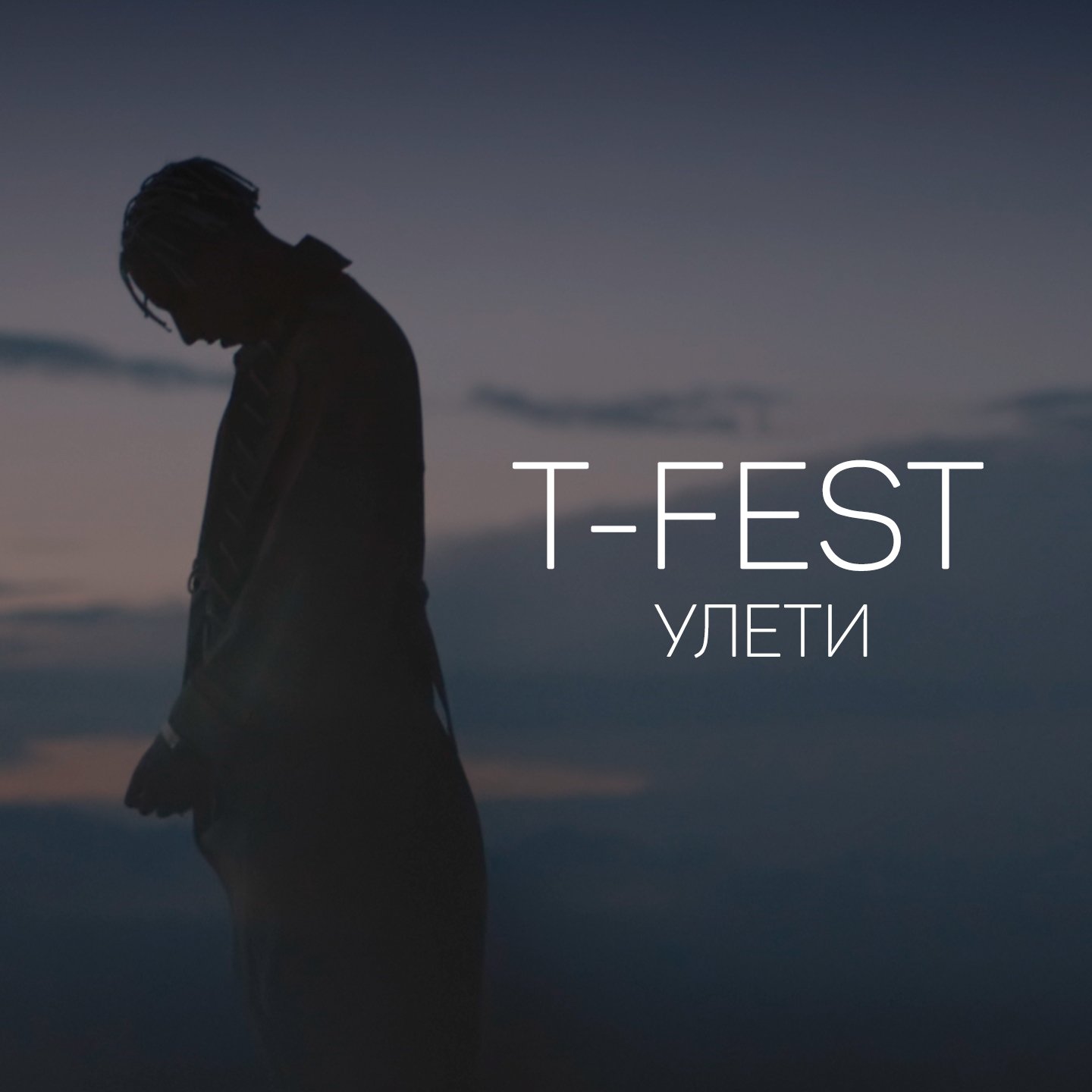 песня улети t-fest. T-fest фото. ти фест улетай. Alex swan. T fest улети.