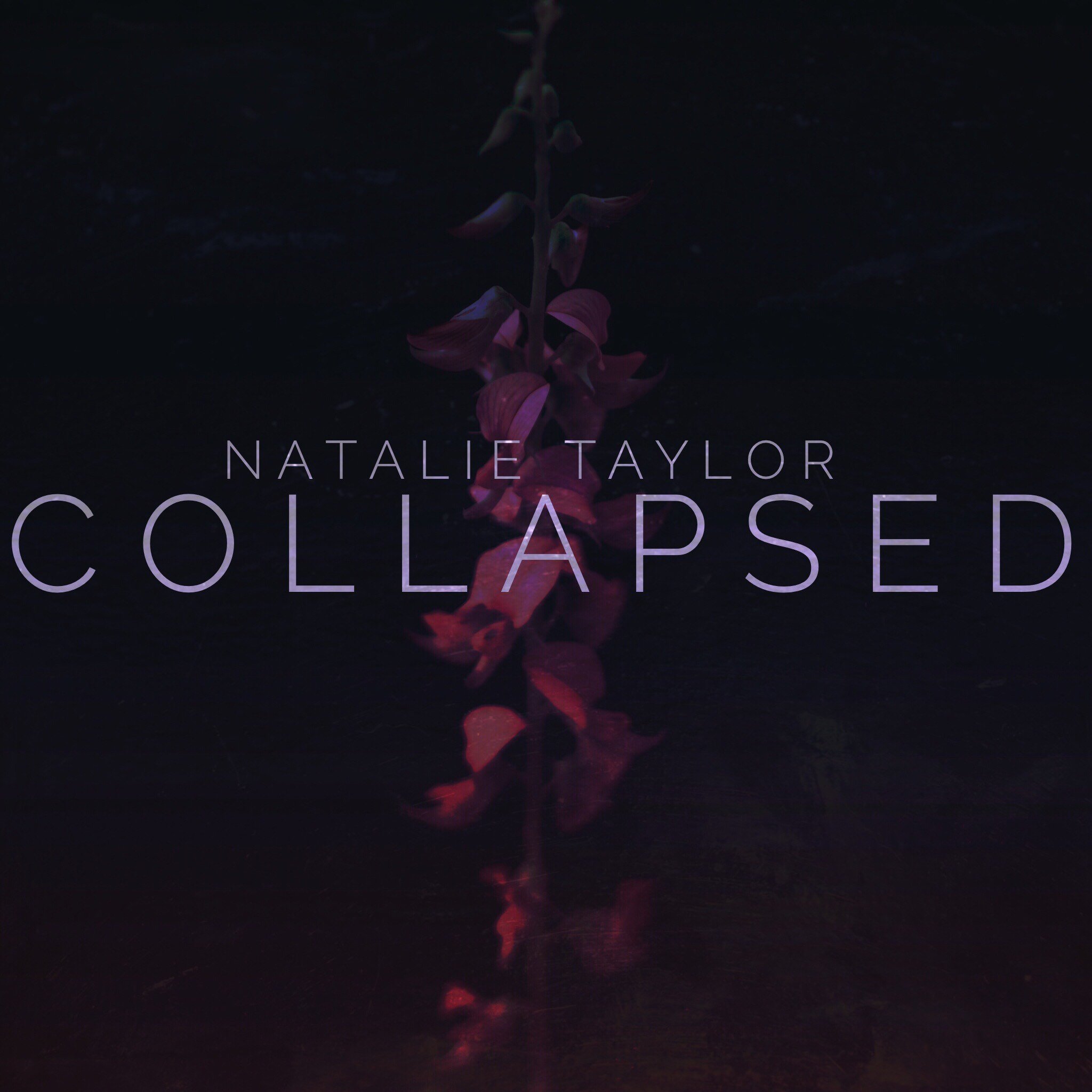 What Happened To Natalia Taylor