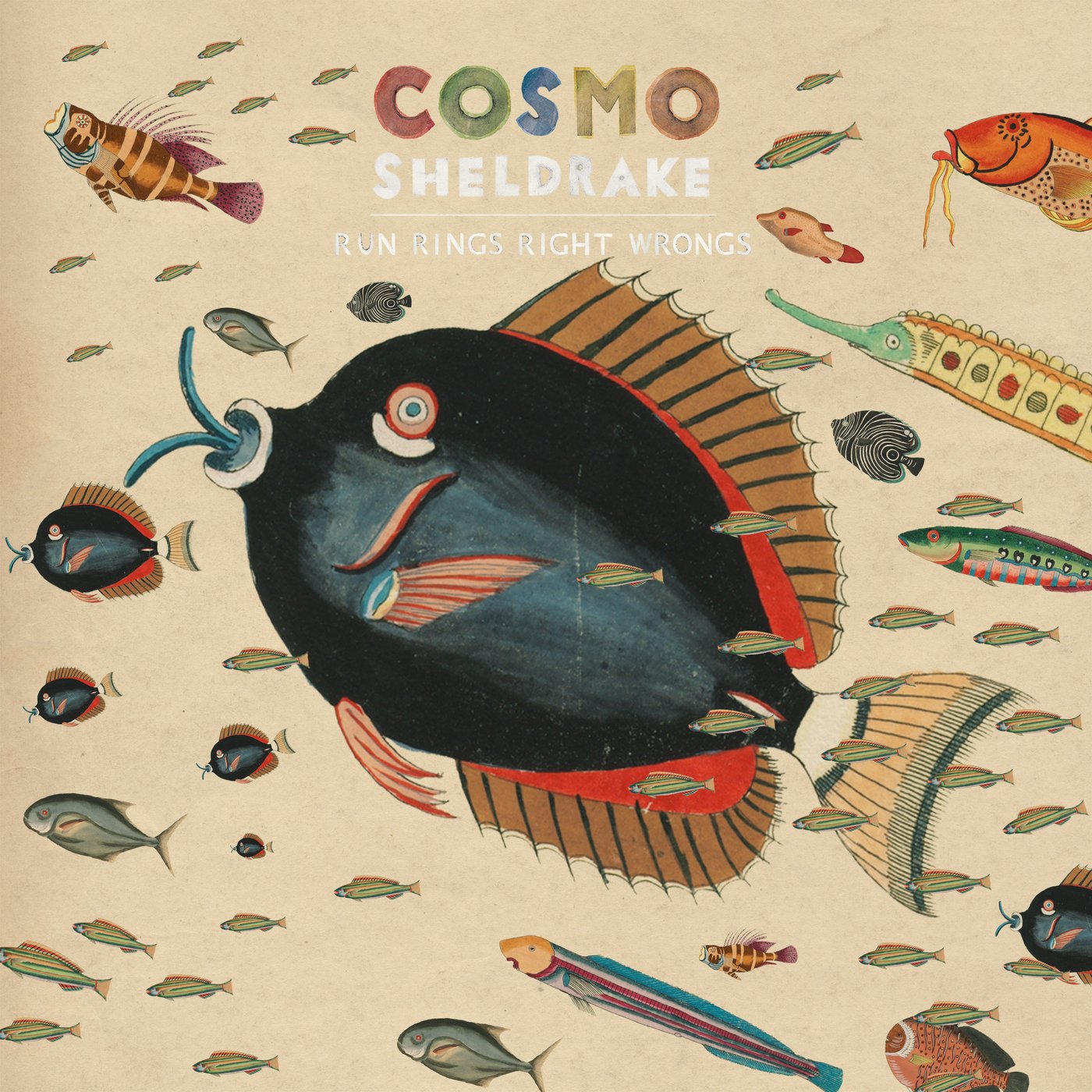 Cosmo sheldrake come. Группа Cosmo Sheldrake. Cosmo Sheldrake обложки. Cosmo Sheldrake Постер. Cosmo Sheldrake album.