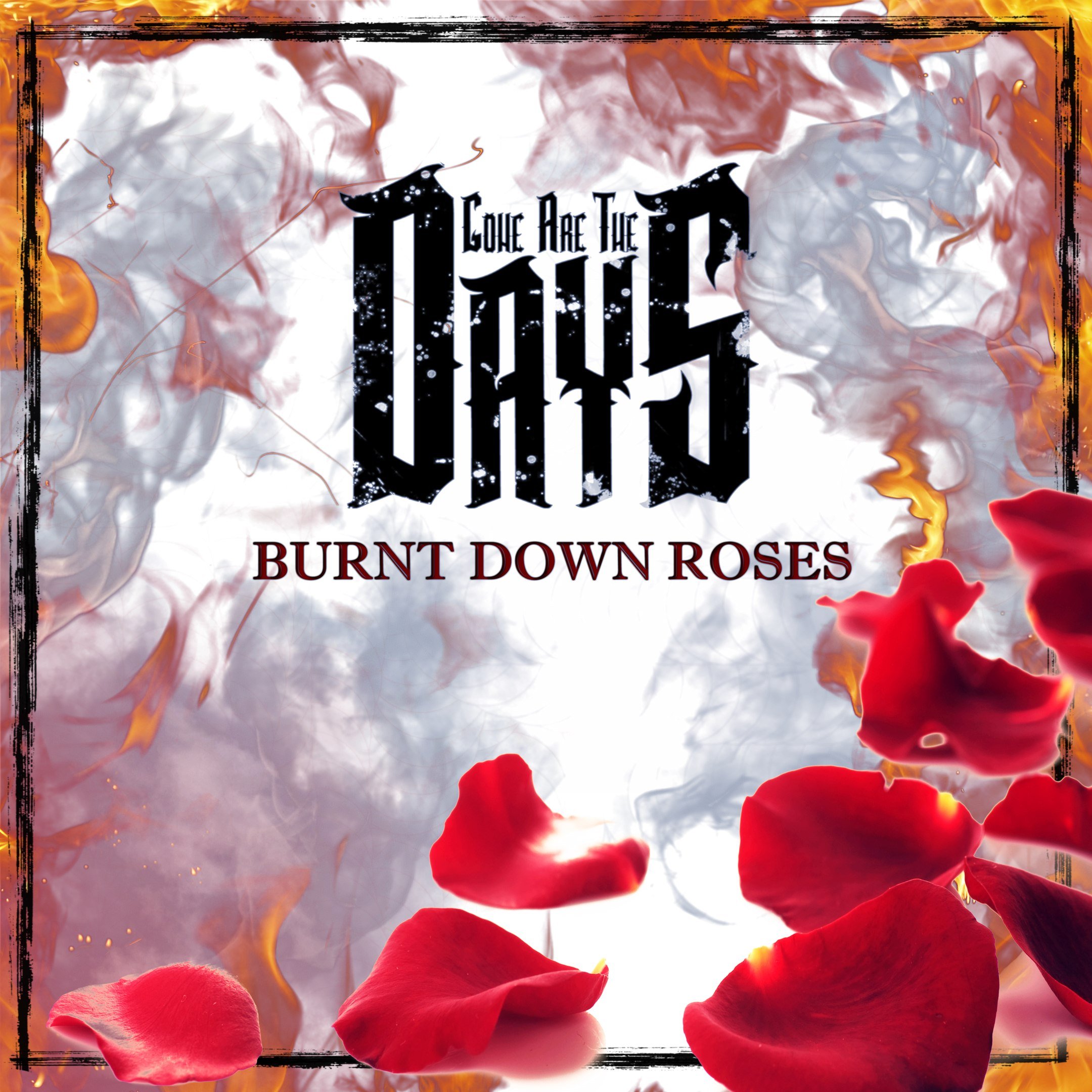 Burnt roses