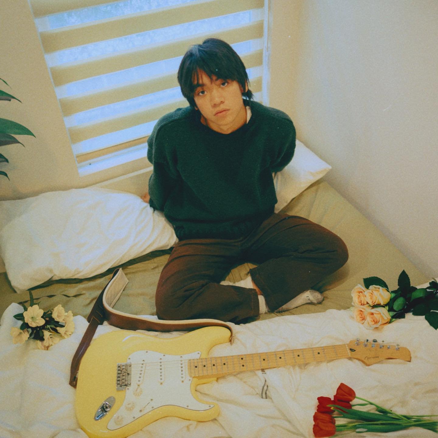 Rocco music, videos, stats, and photos | Last.fm