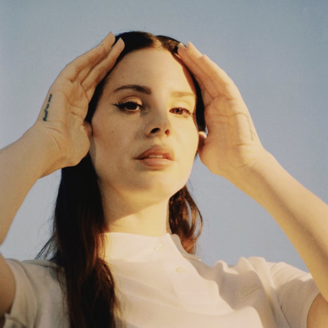 Lana Del Rey - Summer Bummer (Snakehips Remix): listen with lyrics