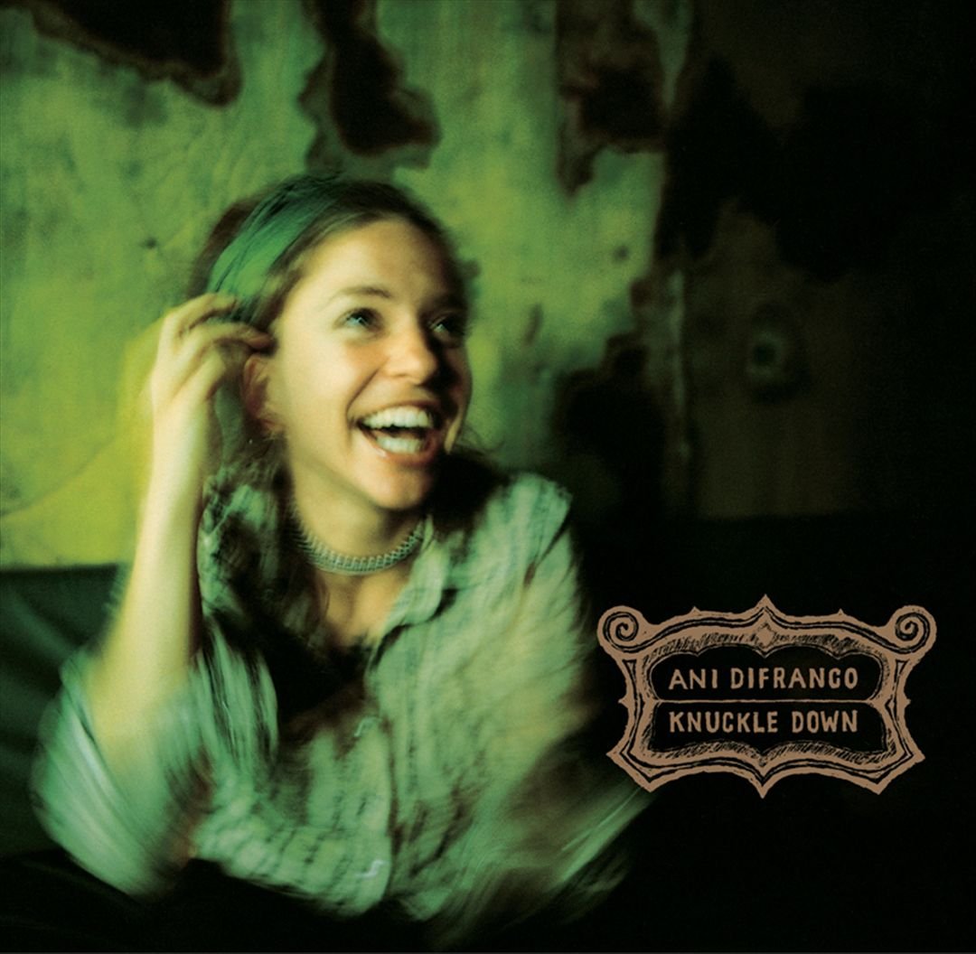 net worth ani difranco - Ilustrasi 3