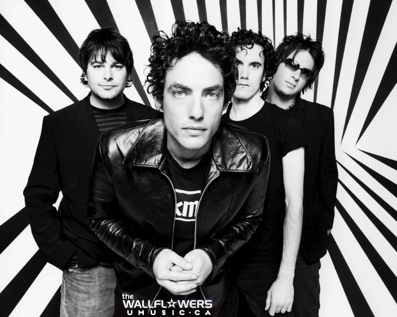 the wallflowers band tour