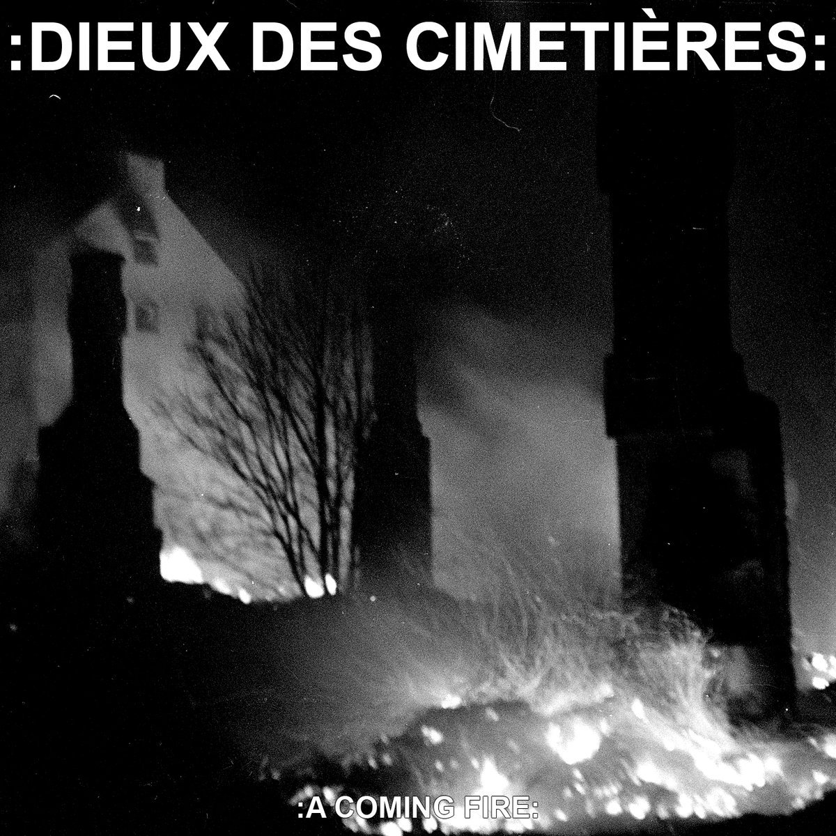 Покемон камерупт. Fire coming. Fire will come. Обезьяна gorillaz. Fire coming.