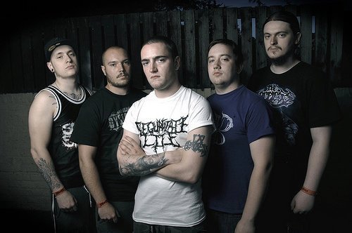 Ingested Cover Image