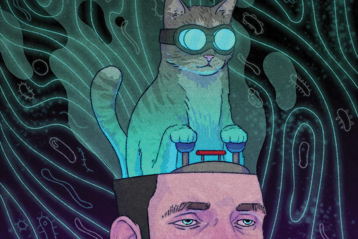 Mind bug. Наука о кошках. cat minds. maxwell cat. memefi коин котики.