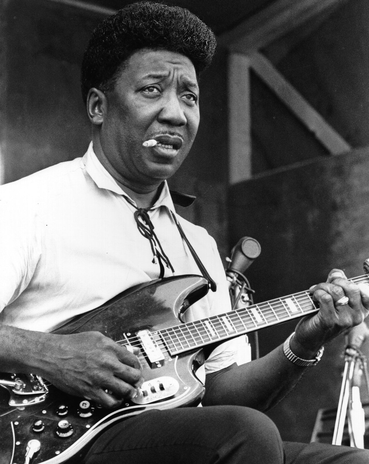 Muddy Waters Profile Picture