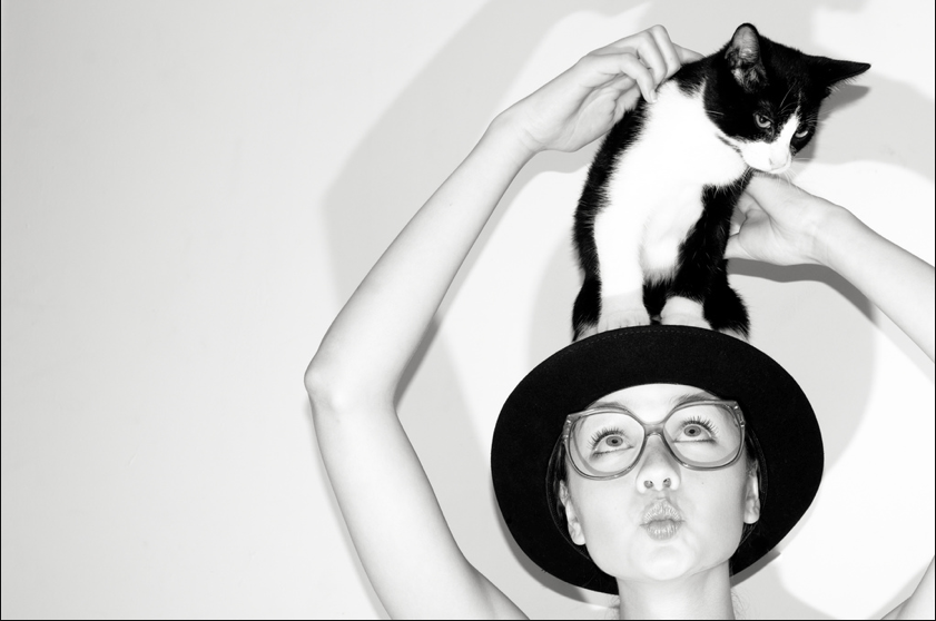 Stacy s brother. Аватарка круглая кошка. Фото для аватарки для девушек прикольные черно белые с кошкой. Картинки на аватар для девочек милые с котиками. Смешные аватарки для тг с котами.