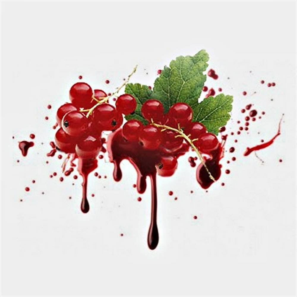 Красная смородина — Ленинград | Last.fm