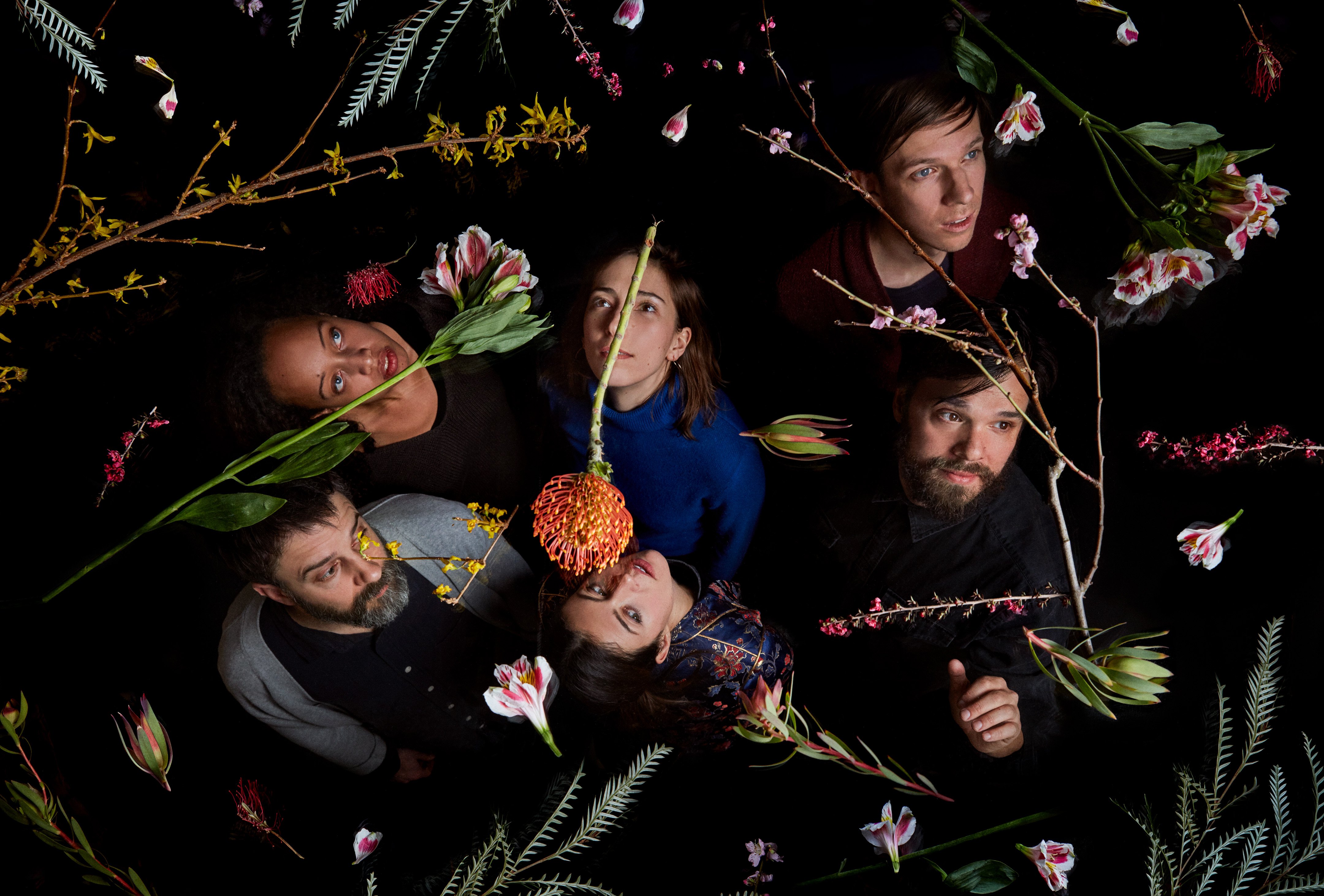 Dirty Projectors Cover Image