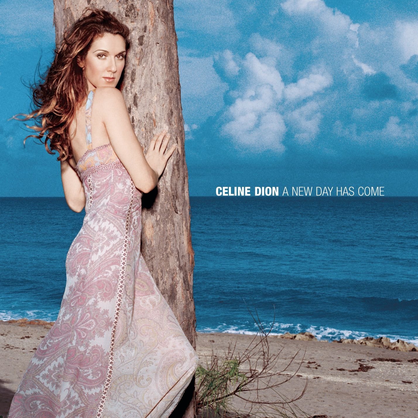 I'm Alive — Céline Dion | Last.fm