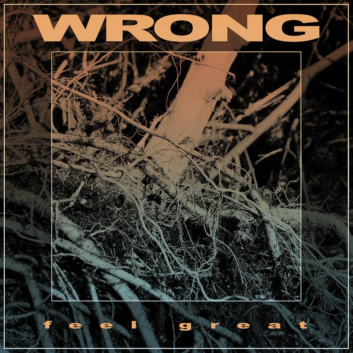 Last wrong. Last wrong