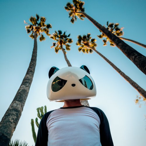 The White Panda Cover Image
