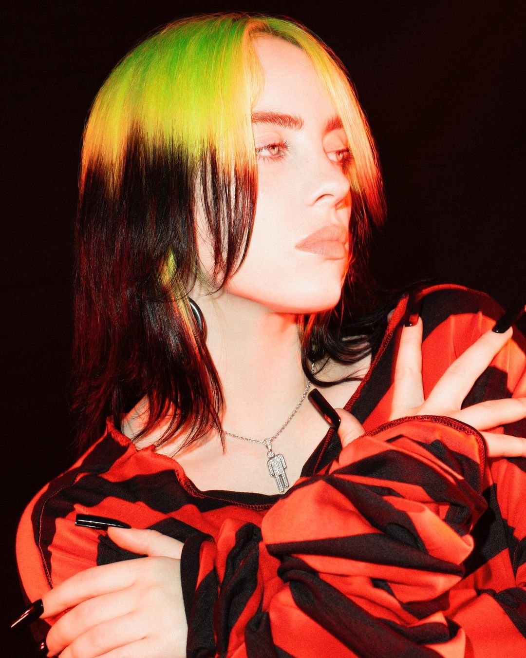 Alter, Heimatstadt, Biografie von Billie Eilish Last.fm