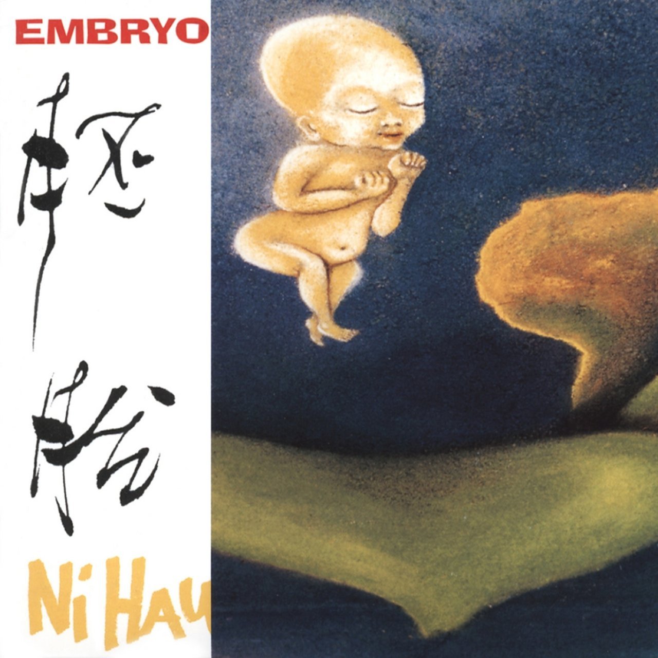 Install Embryo On Witches