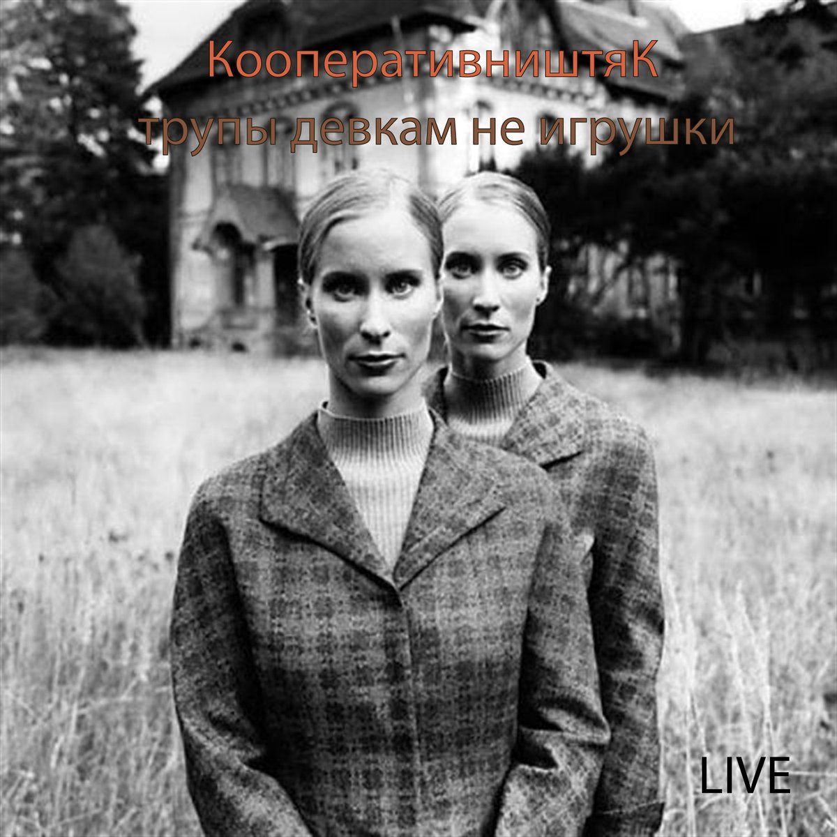 жуткие близнецы. страшная девочки близнецы. сияние стивен кинг иллюстрации близняшки. сияние близняшки грейди арт. чешский фотограф тереза влчкова снимает девочек-близнецов.