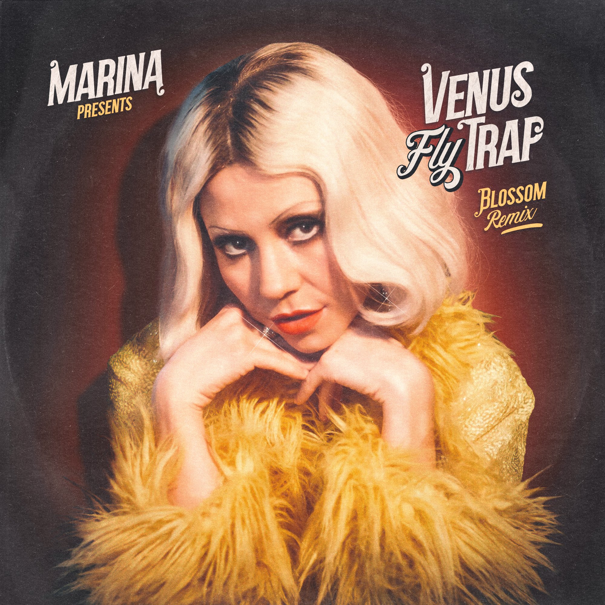 Marina remix. Marina альбомы. Marina Venus Fly Trap.