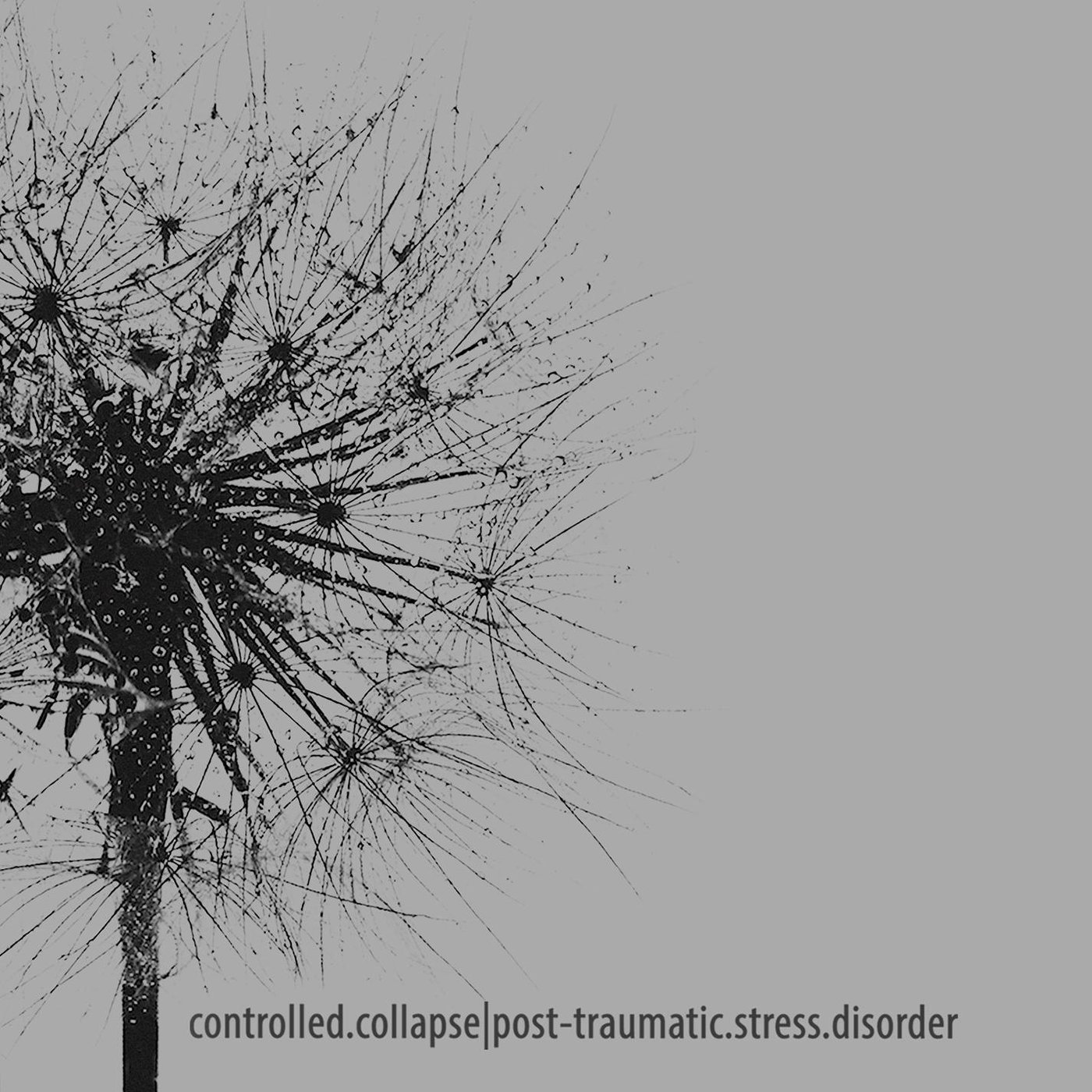 Controlled collapse. Controlled collapse