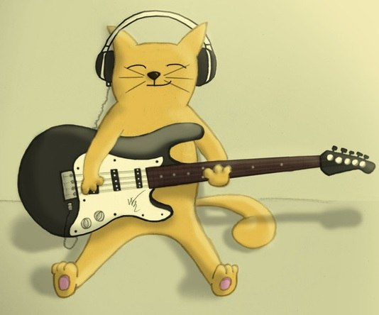 Кот играет на гитаре