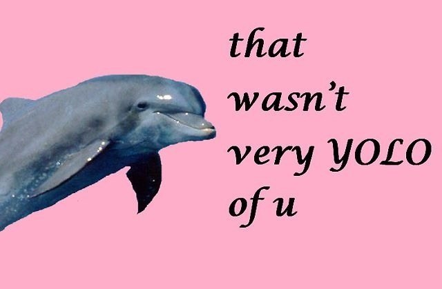 That wasn t very. No clue meme. Маска джим керри гиф. I have no clue. That wasn t very.