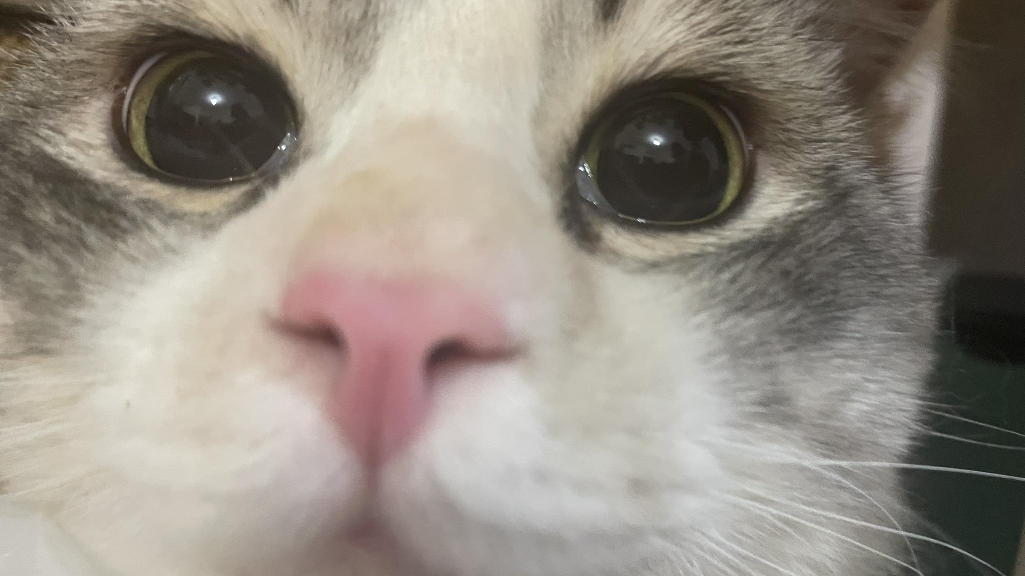 forty_’s Music Profile | Last.fm