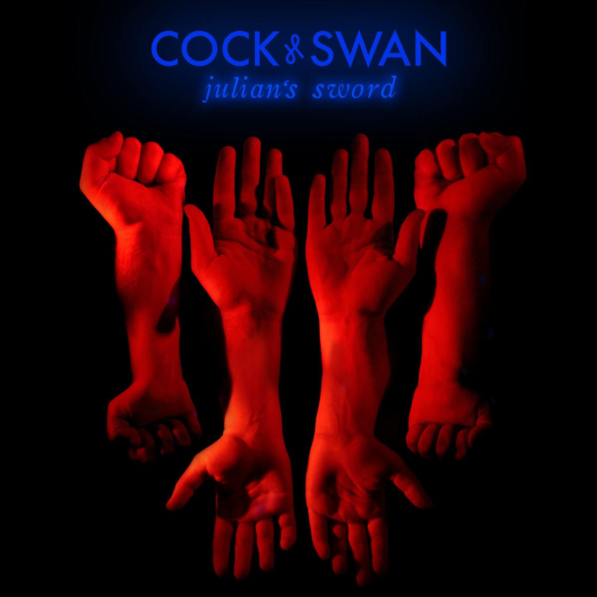 Cock Dreams