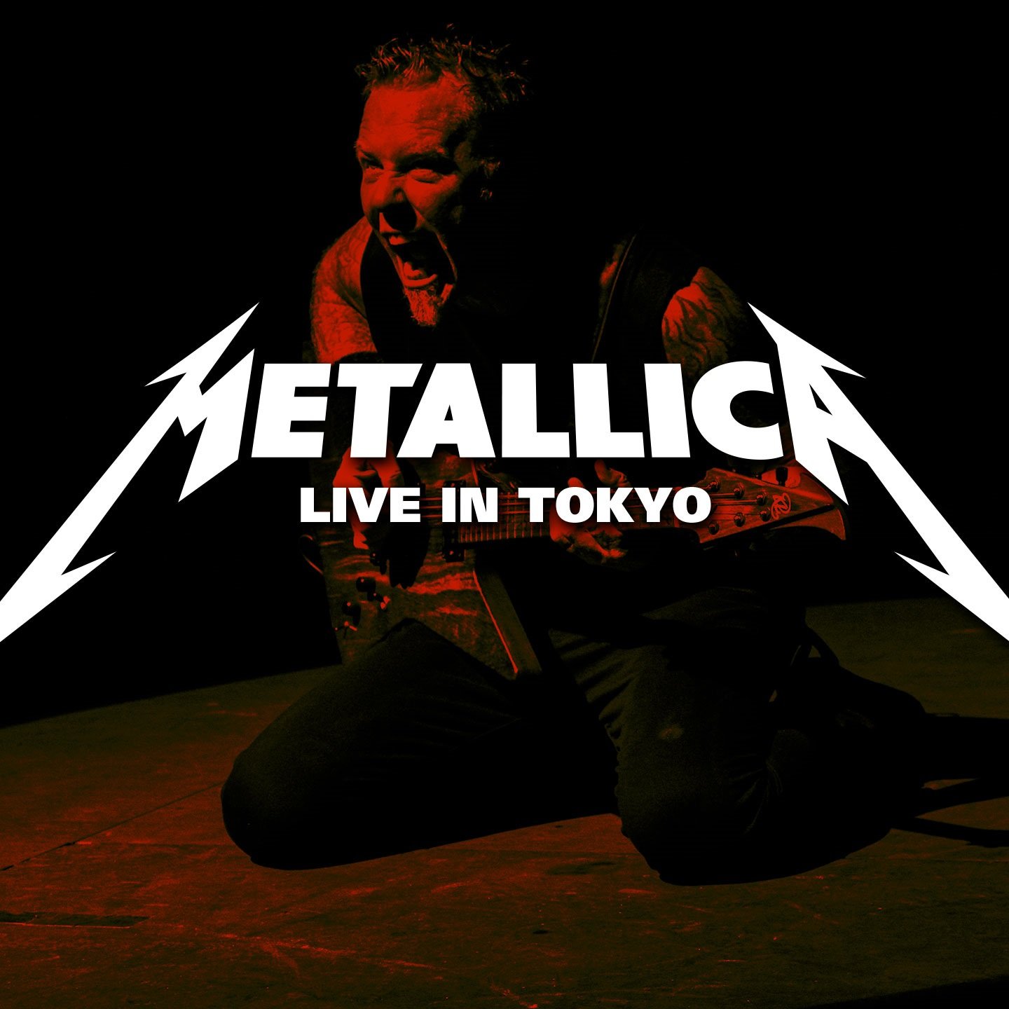 Metallica flac. Металлика Live. Metallica Live 2013. Seek and destroy Metallica альбом. Металлика ласт альбом.