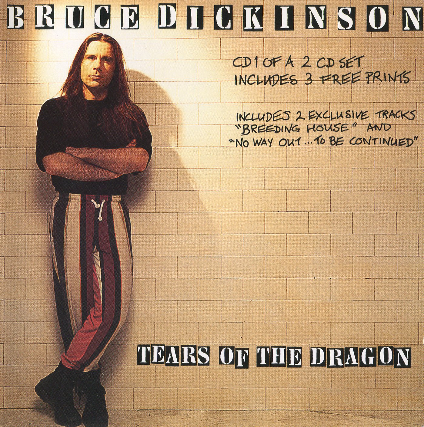 Tears Of The Dragon — Bruce Dickinson