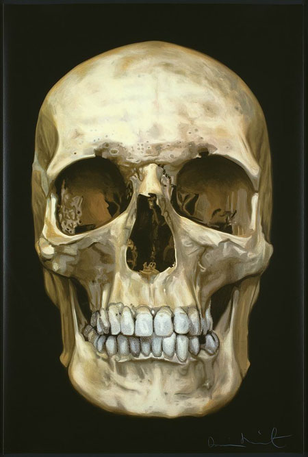 Как выглядит череп после UK and Italy skull travel tips! Skull, Skull art, Skull reference