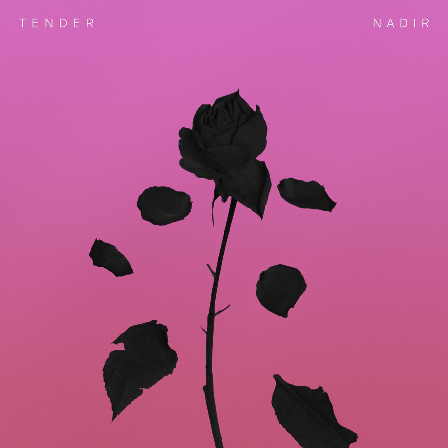 Tender Tush
