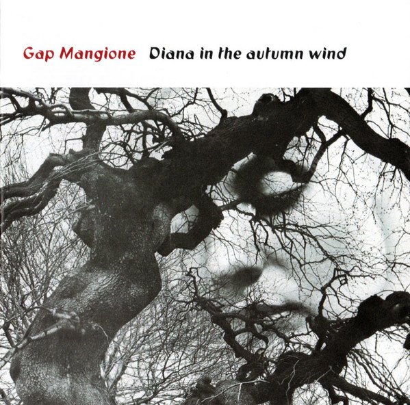 gap mangione net worth - Ilustrasi 3